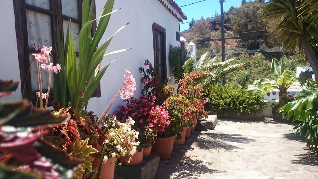 엘파소 Casitas La Montanita 게스트하우스 외부 사진