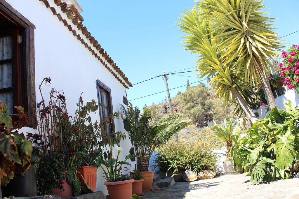 엘파소 Casitas La Montanita 게스트하우스 객실 사진