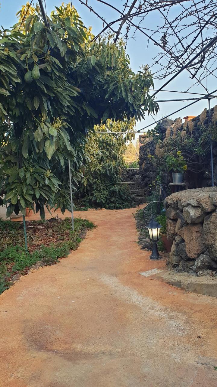 엘파소 Casitas La Montanita 게스트하우스 외부 사진