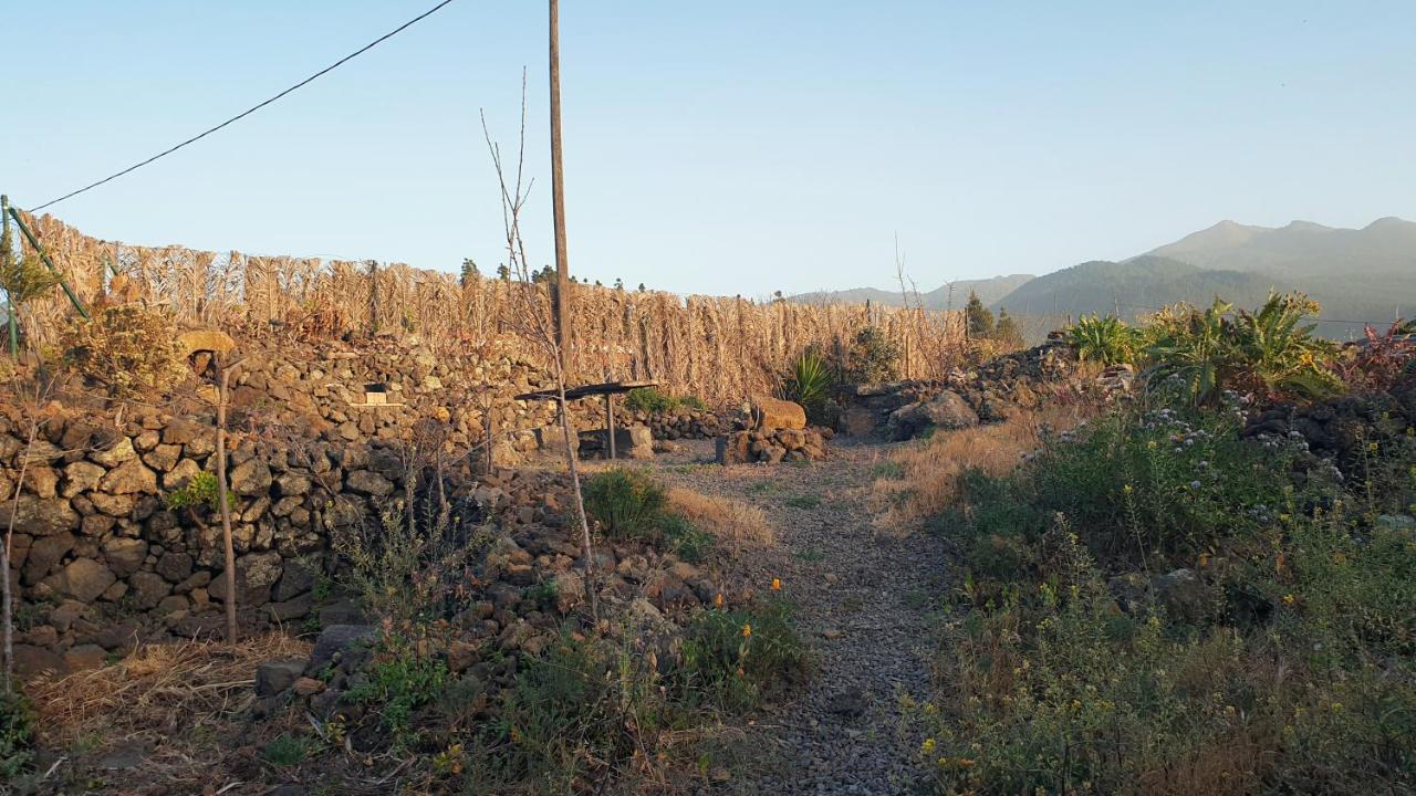 엘파소 Casitas La Montanita 게스트하우스 외부 사진